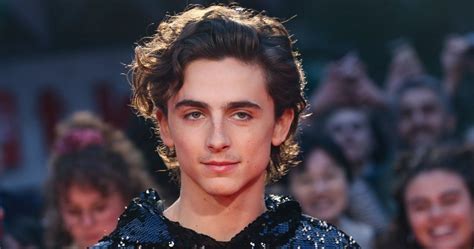 timothée chalamet movies